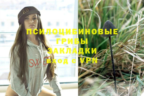 дмт Алзамай