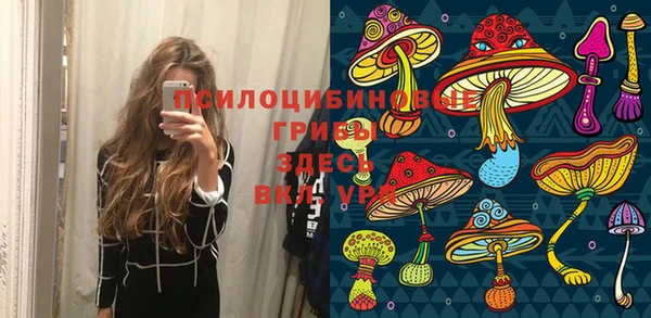 дмт Алзамай