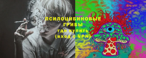 дмт Алзамай